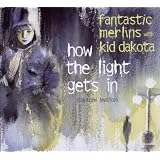How The Light Gets Inpar Fantastic Merlins