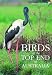 Birds of the Top End of Australia