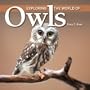 Exploring the World of Owls