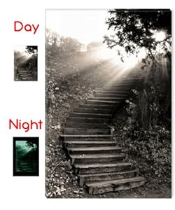 Angels Path Astonishing Canvas Wall Art, 5 Stars Gift Startonight Nature 31.5 X 47.2 In