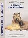 Bouvier des Flandres (Comprehensive Owners Guide) (Comprehensive Owners Guide)