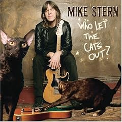 Mike Stern cover