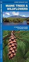 Maine Trees & Wildflowers: A Folding Pocket Guide to Familiar Species (Pocket Naturalist Guide Series)