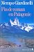 Search : Fin de roman en Patagonie