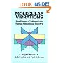 Molecular Vibrations: The Theory of Infrared and Raman Vibrational Spectra