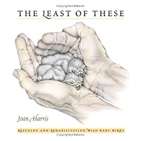 The Least of These: Rescue and Rehabilitation of Wild Baby Birds