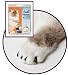 Feline Soft Claws Cat Nail Caps Take-Home Kit, Small, Black