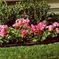 Eco Edge Professional-Grade Lawn Edging