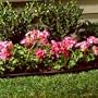 Eco Edge Professional-Grade Lawn Edging