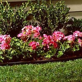 Eco Edge Professional-Grade Lawn Edging