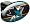 San Jose Sharks