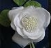 Bridal Elegance: Satin Organza Diamond Rose Flower