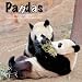 Pandas 2009 Wall Calendar 12 X 12