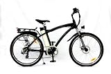 EJOE Pendaki Bicycle