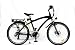 EJOE Pendaki Bicycle