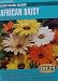 African Daisy Giant Mixed Colors Seeds