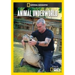 Animal Underworld