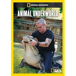 Animal Underworld