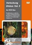 Eigenschaften LIMOX Produktion und Handel  / Verlockung Diskus & Diskuszucht Vol. 3