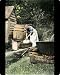 Mouse Mats of Making soap from North Wind Picture Archives