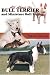 All About the Bull Terriers And Miniature Bull Terriers