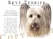 Skye Terrier Human Trainer Mouse Pad Dog Mousepad