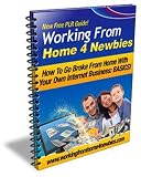 Working From Home For Newbies - How To Go Broke From Home With Your Own Internet Business: BASICS!   AAA+++