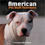 American Pit Bull Terriers 2007 Wall Calendar