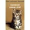 chat perdu psy