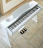 KORG dqsAm (\tgEzCg) NC-500-SW