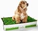 FRESH PATCH Disposable Dog Potty with Real Grass