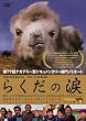 らくだの涙 [DVD]