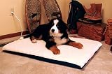 Orthopedic Heated Pet Bed - Small - Green
