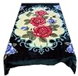 Solaron Queen Opium Korean Mink Blanket - Turquiose Blue