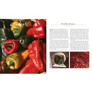 Oaxaca al Gusto: An Infinite Gastronomy (William & Bettye Nowlin Series in Art, History, and Culture)
