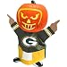 Topperscot Green Bay Packers Pumpkin Bumpkin Pumpkin Holder