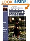 Guide to Owning a Miniature Pinscher