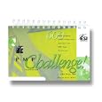 PMP Exam Challenge, 4th edition