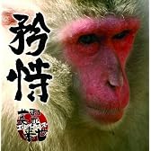 1st Album 「矜恃」(きょうじ)