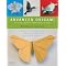 Origami