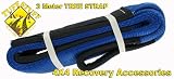 TREE SAVER WINCH STRAP 10'