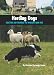 Herding Dogs: Selecting and Training the Working Farm Dog (Country Dog)