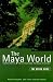 Maya World: The Rough Guide (Rough Guide Travel Guides)
