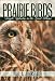 Prairie Birds: Fragile Splendor in the Great Plains