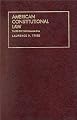 American Constitutional Law (University Textbook Series)
