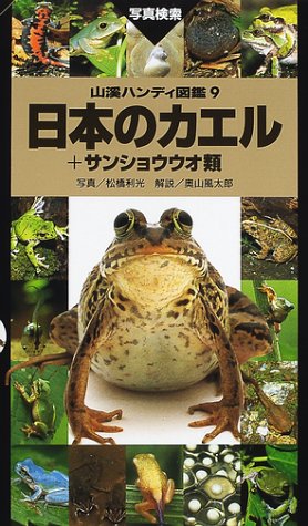 日本のカエル+サンショウウオ類