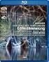 Gotterdammerung [Blu-ray]
