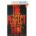 The Perfect Shot (Young Adult Fiction)