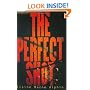 The Perfect Shot (Young Adult Fiction)
