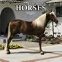 Tennessee Walking Horses 2005 Calendar